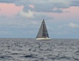 Image from Mako.  
