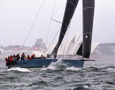 2025 Tollgate Island Race start - Smuggler.   Image: CYCA | Vito Feremans