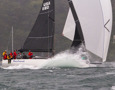 2025 Tollgate Island Race start - Bacchanal.   Image: CYCA | Vito Feremans
