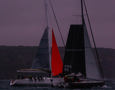 2025 Tollgate Island Race start - Le Tiroflan and Pacific Road Xanthus.    Image: CYCA | Ashley Dart
