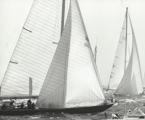American Eagle (2121) follows Kialoa II (7742) having exited Sydney Harbour - 1971 Sydney Hobart Yacht Race