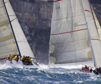 Yendys and Ginger at the start of the Sydney Gold Coast Race