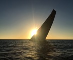 Wild Oats XI at sunrise on Day 3 with 5 miles to go