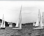 1966 Sydney Hobart Yacht Race start - Lorita Maria (173) and Catriona (CYC 25) - CYCA Archives
