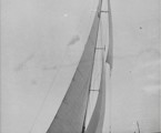Even - 1955 SHYR - Owner, F.J. Palmer - CONSOLIDATED PRESS - CYCA Archives