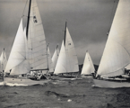 Rival (M2), Kintail (16), Silhouette (MH64), Sea Bee (CYC32), Sylvena (18),  Joanne Brodie (2) & Anitra V - 1961 Sydney Hobart Yacht Race start - CYCA Archives