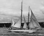 Mistral II (at start of 1950 Sydney Hobart race)