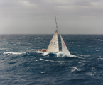 Adam's Apple - 1992 Sydney Hobart Yacht Race