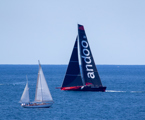 Andoo Comanche approaching  Sydney Harbout to take line honours in the 2023 Tollgate Islands Race