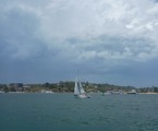 View from Sylph VI in Sydney Harbour