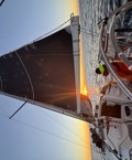 Rumchaser from the rail on Day 3 of the 2025 Noakes Sydney Gold Coast Race
