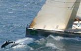 Rolex Sydney Hobart - The Three Events 2002 to 2004