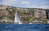 Bird Island Race nears