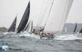 VIDEO | Bird Island Race start