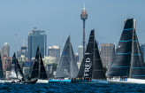 Bird Island Race pre-start overview