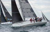 Bird Island Race 2025 - Images from the start