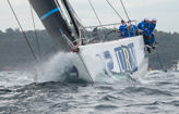 Bird Island Race | Rolling Race Updates