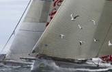 Rolex Sydney Hobart: There’s more to it than racing!