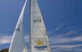 Local Rolex Sydney Hobart Yacht Race Crew Aim to Raise $50K for Livewire
