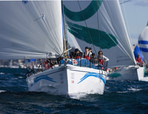 Steven David's Wild Joe after the Audi Sydney Gold Coast start