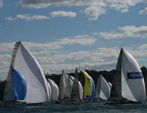 Audi Sydney Gold Coast Yacht Race 2008 fleet heading out of Sydney Harbour