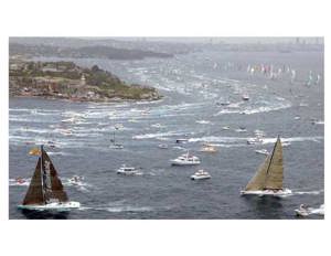 Skandia leads Zana out of the heads