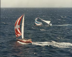 Indulgence following Marloo - 1983 SHYR - Photo Richard Bennett - CYCA Archives