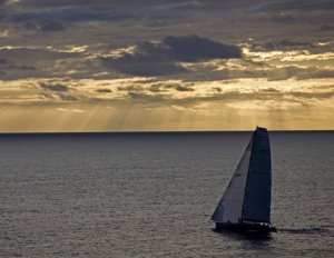 City Index Leopard at sunset off Flinders Island
