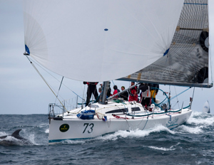 Swish just passing Tasman Island on its way into Storm Bay, with dolphin