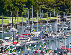A view of D Arm of the CYCA Marina - Christmas Eve