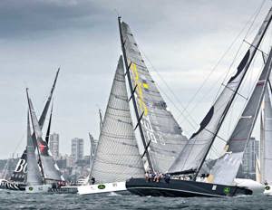 Wild Thing, Lahana, Hugo Boss and Accenture