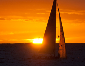 Accompanied by two albatrosses