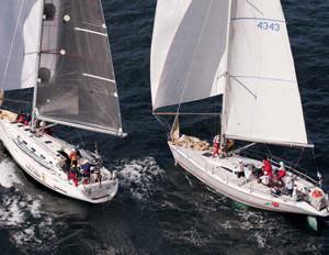 David Beaks Mr Beaks Ribs and Roger Hickman's Wild Rose