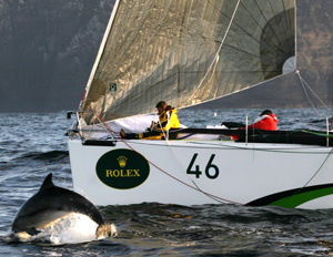 Dekadence and Dolphin