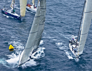 YuuZoo, Lahana, Ran and Investec Loyal at the first mark