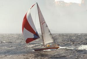 Sangaree - 1984 SHYR
