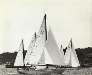 Salacia (190) leading Saga (32) and Altair (48) - 1966 - CYCA Archive