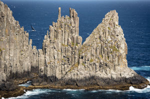 51, PRIMITIVE COOL (AUS), Sail No: S777, Design: Reichel Pugh 51, Owner: John Newbold, Skipper: John Newbold