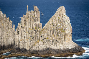 51, PRIMITIVE COOL (AUS), Sail No: S777, Design: Reichel Pugh 51, Owner: John Newbold, Skipper: John Newbold