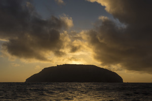 Tasman Island