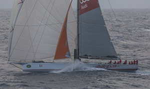 WILD OATS XI
