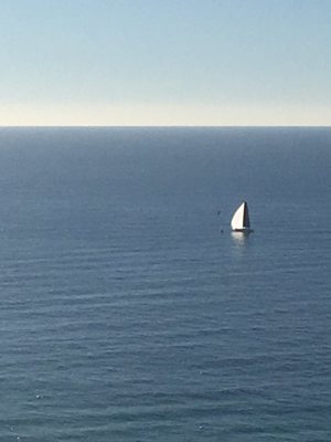 Showtime approaching the finish at Gold Coast