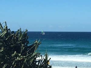 Gun Runner approaching the finish line - the last boat to finish the 2017 race