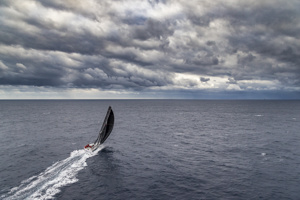 Downwind speed master Wizard