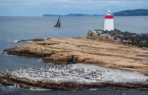 Ichi Ban reaches the Iron Pot at the entrance to the Derwent River with 11 miles to the finish