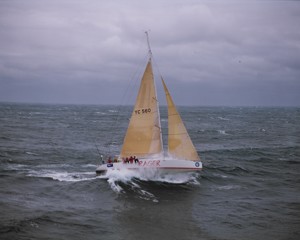 Rager (YC560) - 1999 SHYR