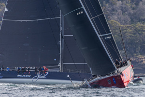 Comanche in front of Black Jack