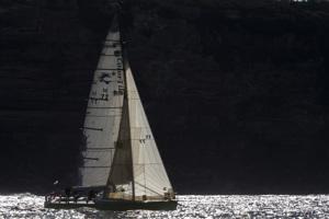 Stampede under North Head
