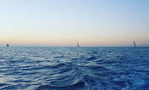 Black Jack, Wild Oats XI and Comanche racing to the finish