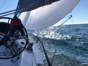 UBS Wild Thing making good progress